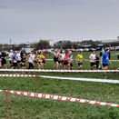 BaWü-Cross Huchenfeld